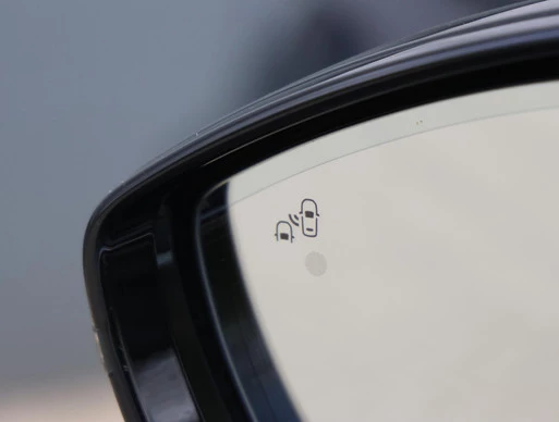 DS DS 9 - Afbeelding 30 van 30