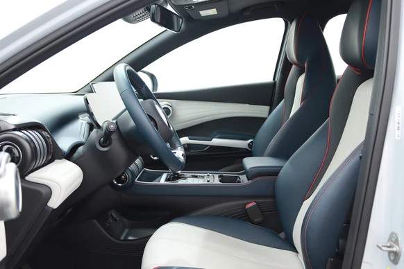 BYD ATTO 3 - Afbeelding 19 van 30