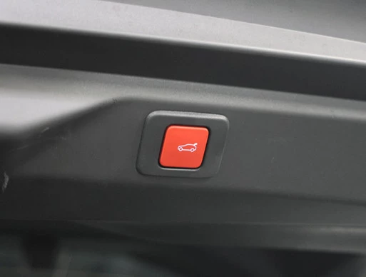 Peugeot e-3008 - Afbeelding 21 van 30