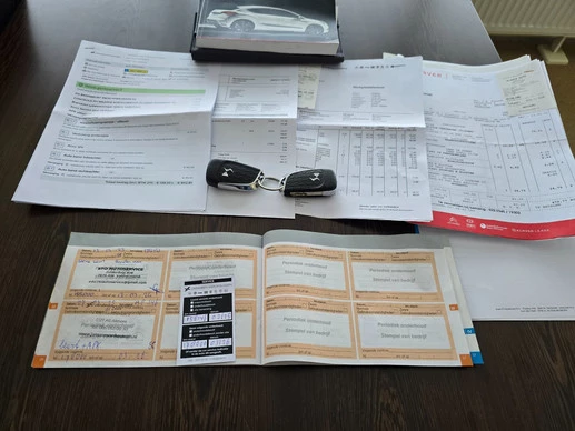 DS DS 4 - Afbeelding 23 van 25