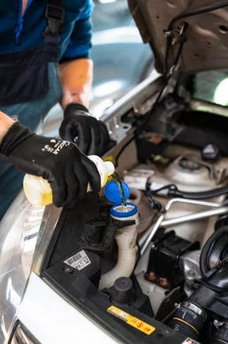 Renault Twingo - Afbeelding 16 van 20