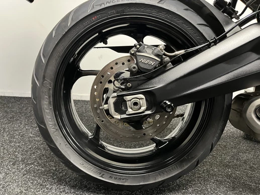 Triumph Tiger - Afbeelding 9 van 23