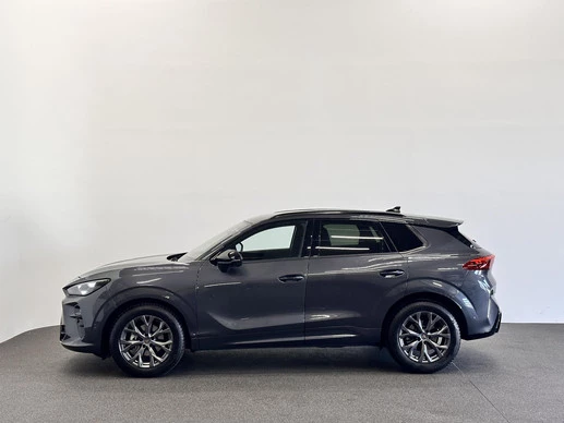 CUPRA Terramar - Afbeelding 28 van 30