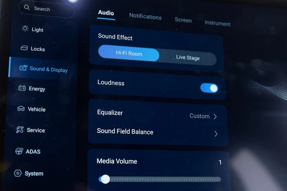 BYD ATTO 3 - Afbeelding 27 van 30