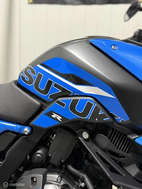 Suzuki GSX - Afbeelding 6 van 20