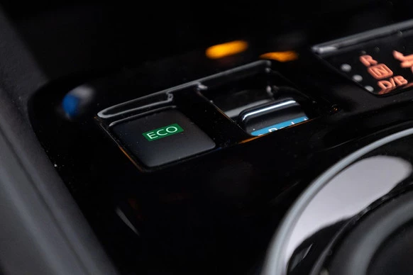 Nissan Leaf - Afbeelding 24 van 30