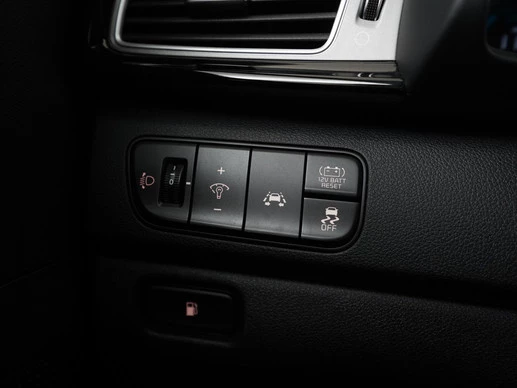 Kia Niro - Afbeelding 29 van 30