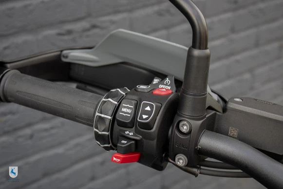 BMW R 1300 GS - Afbeelding 11 van 12