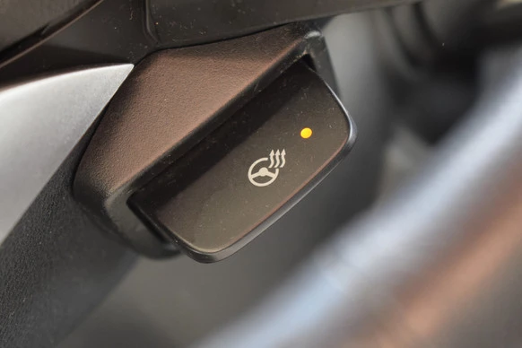 Subaru Forester - Afbeelding 24 van 30