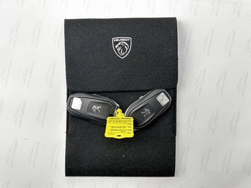 Peugeot e-2008 - Afbeelding 29 van 30