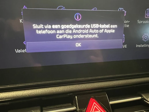 Kia Niro EV - Afbeelding 22 van 30