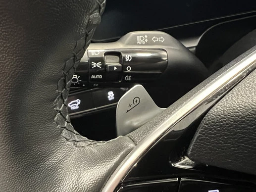 Kia Niro EV - Afbeelding 29 van 30