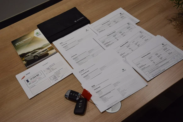 Škoda Kodiaq - Afbeelding 16 van 30