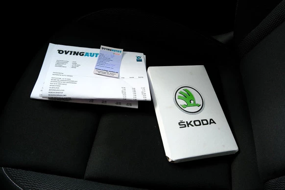Škoda Karoq - Afbeelding 21 van 30