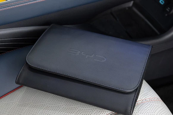 BYD ATTO 3 - Afbeelding 5 van 30