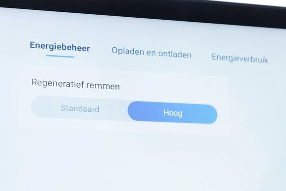 BYD ATTO 3 - Afbeelding 29 van 30