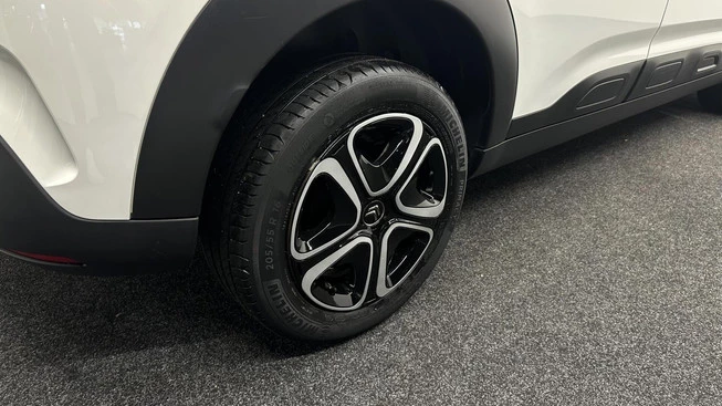 Citroën C4 Cactus - Afbeelding 14 van 30