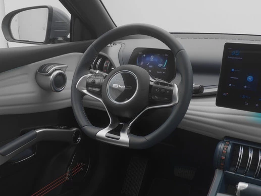 BYD ATTO 3 - Afbeelding 7 van 30