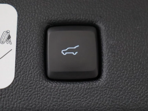 Ford Kuga - Afbeelding 12 van 30