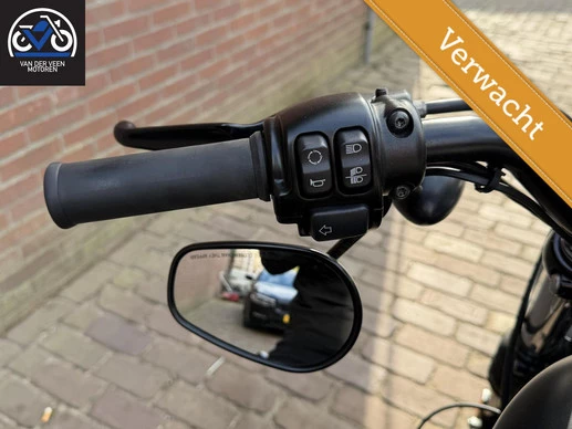 Harley-Davidson Sportster - Afbeelding 5 van 7