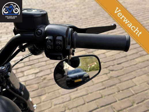 Harley-Davidson Sportster - Afbeelding 6 van 7