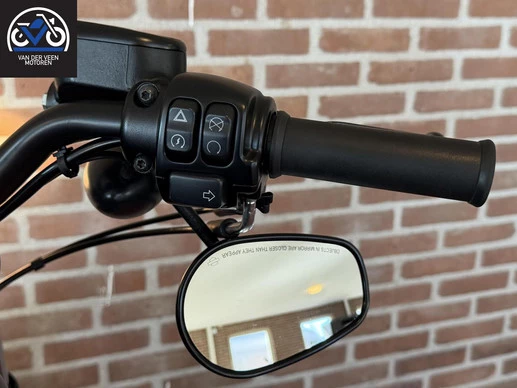 Harley-Davidson Sportster - Afbeelding 10 van 17