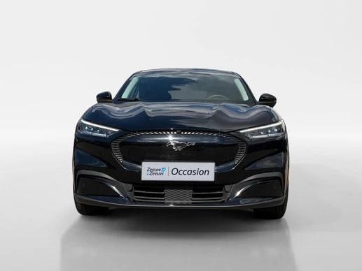 Ford Mustang Mach-E - Afbeelding 7 van 30