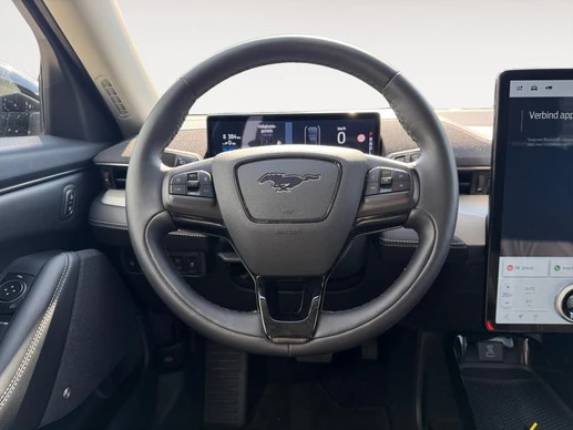 Ford Mustang Mach-E - Afbeelding 19 van 30