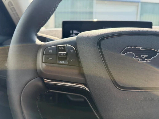 Ford Mustang Mach-E - Afbeelding 20 van 30