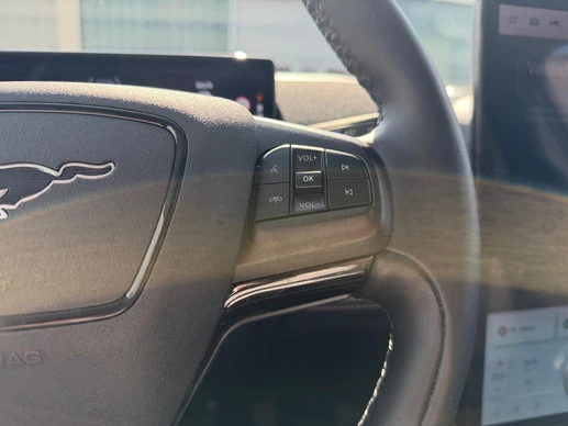 Ford Mustang Mach-E - Afbeelding 21 van 30