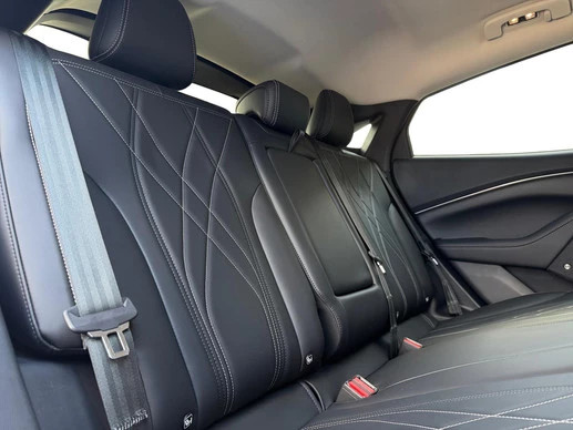 Ford Mustang Mach-E - Afbeelding 25 van 30