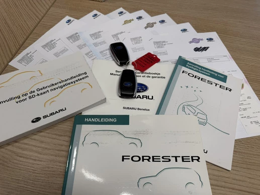 Subaru Forester - Afbeelding 10 van 30