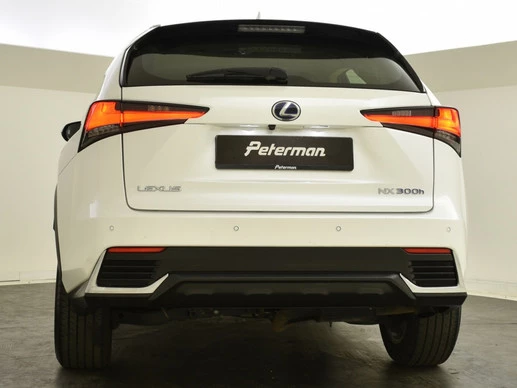 Lexus NX - Afbeelding 9 van 30