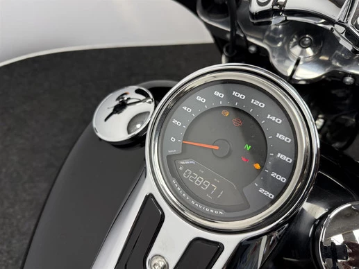 Harley-Davidson Sport Glide - Afbeelding 17 van 19