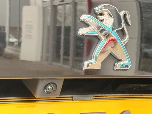 Peugeot e-2008 - Afbeelding 16 van 30