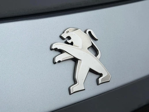 Peugeot e-208 - Afbeelding 18 van 30