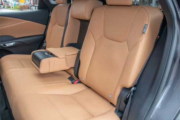 Lexus RX - Afbeelding 10 van 30