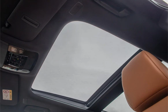 Lexus RX - Afbeelding 17 van 30