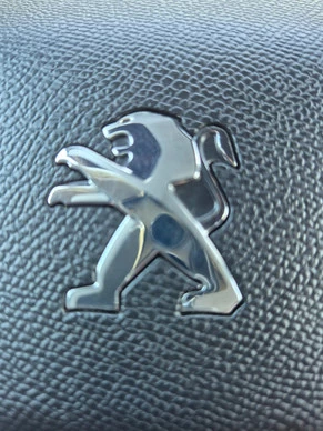 Peugeot e-2008 - Afbeelding 28 van 30