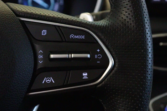 Hyundai Santa Fe - Afbeelding 13 van 24