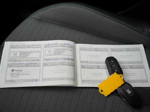 Peugeot e-208 - Afbeelding 19 van 21