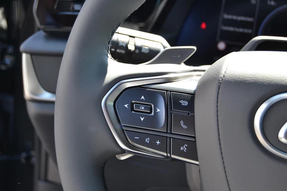 Lexus RZ - Afbeelding 18 van 30