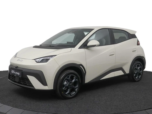 BYD DOLPHIN SURF