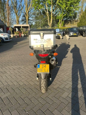 Suzuki V-Strom - Afbeelding 8 van 16