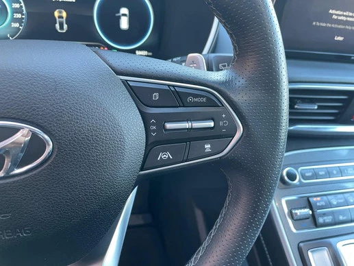 Hyundai Santa Fe - Afbeelding 20 van 24