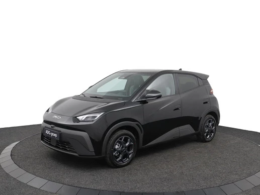 BYD DOLPHIN SURF