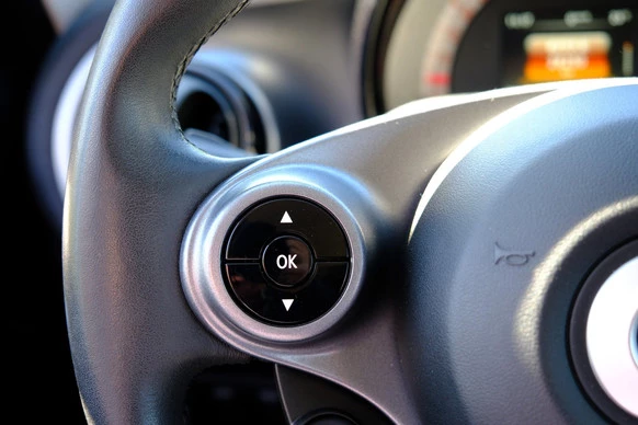 smart Forfour - Afbeelding 19 van 30