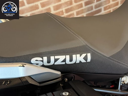 Suzuki V-Strom - Afbeelding 14 van 16