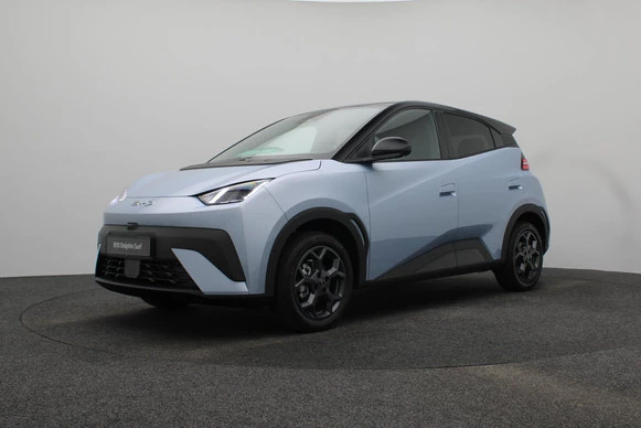 BYD DOLPHIN SURF