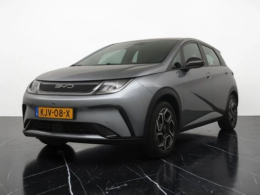 BYD Dolphin leasen